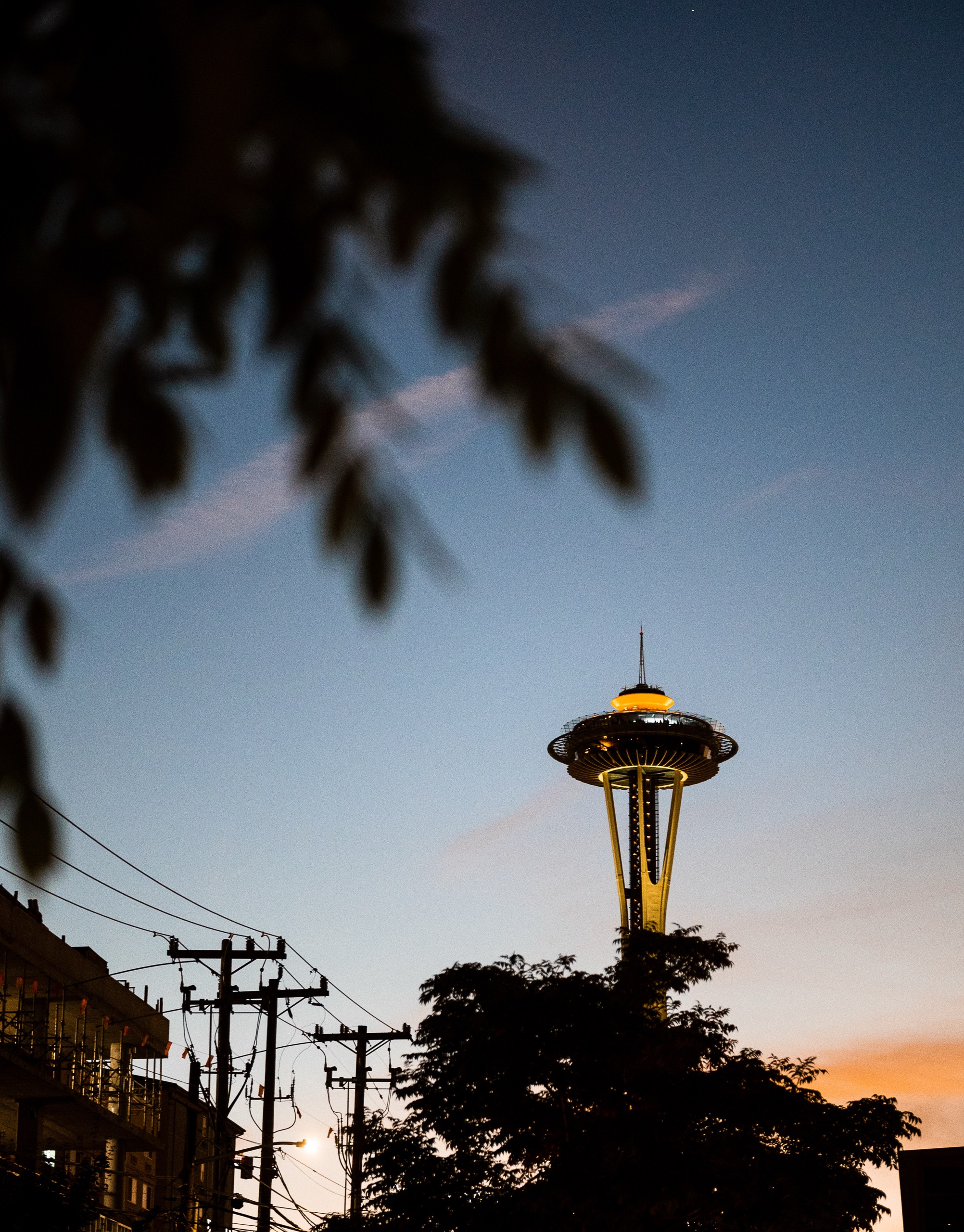 Needle