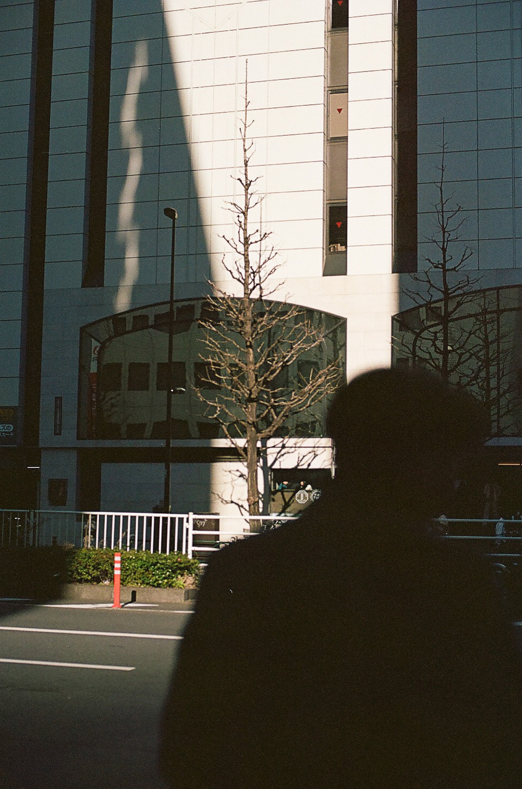 Tokyo (film)